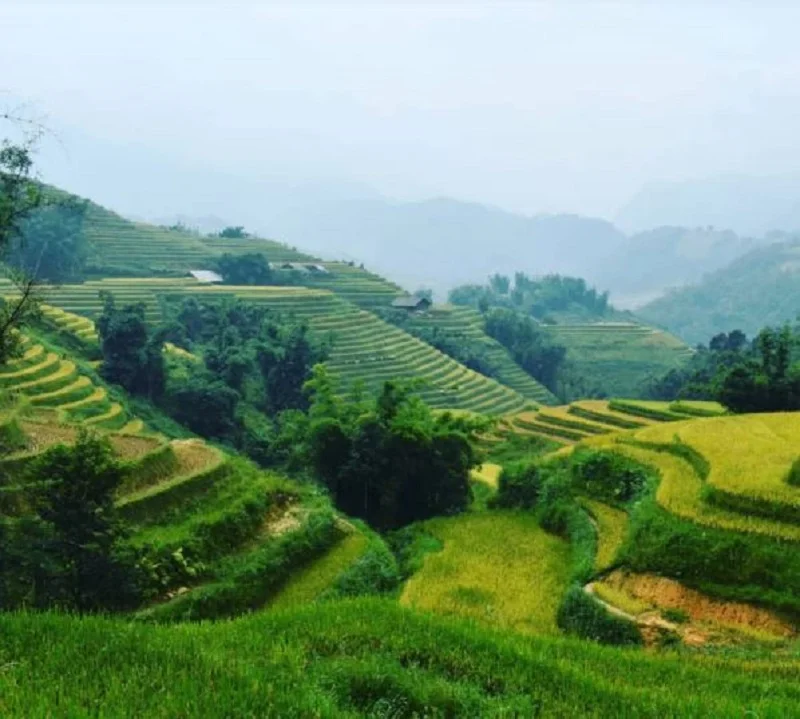 3-Day Sapa Trekking Tour: Y Linh Ho, Lao Chai, Ta Van, Ban Ho, Nam Tong, Thanh Phu & My Son